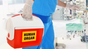 trapianto organi human organ organi umani