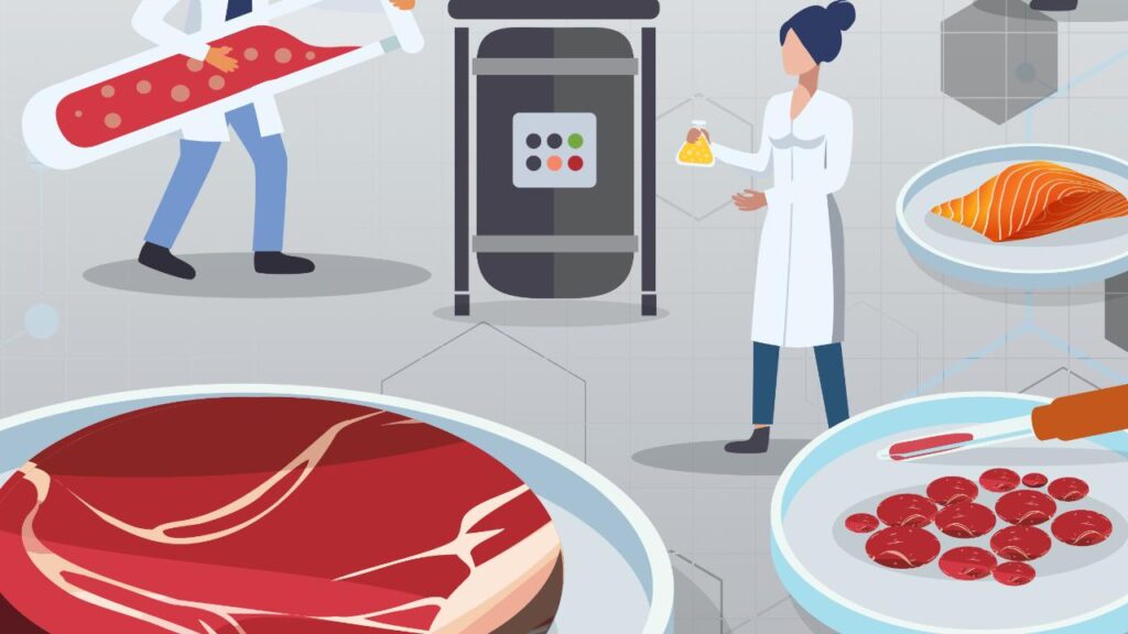 carne sintetica carne coltivata in laboratorio