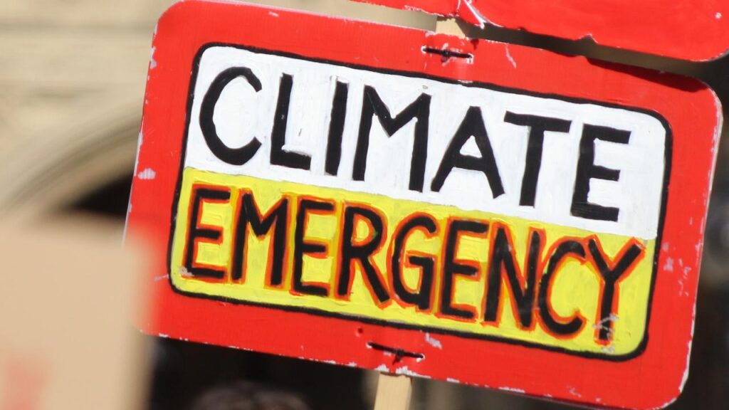 proteste clima climate emergency