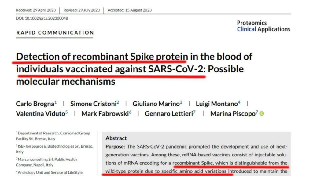 Studio proteina Spike da vaccino, produzione nelle persone anche dopo un anno