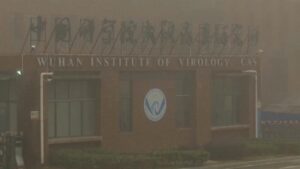 Istituto di virologia di Wuhan