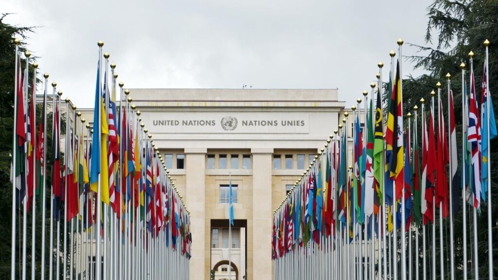 Bandiere nazionali all'ingresso dell'ufficio delle Nazioni Unite, Ginevra, Svizzera Onu