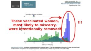 rimosse le donne con più probabilità di aborto in uno studio sulla tossicità dei vaccini Covid per concludere che il vaccinino non è pericoloso per le donne in gravidanza