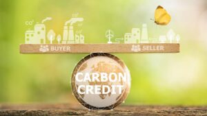 tassa carbonio carbon credit