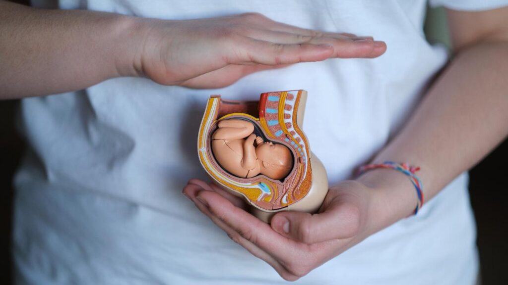 procreazione assistita maternità feto utero