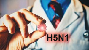 influenza aviaria H5N1