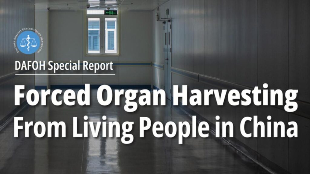Report Doctors Against Forced Organ Harvesting DAFOH sui trapianti di organi da prigionieri vivi in Cina
