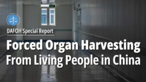 Report Doctors Against Forced Organ Harvesting DAFOH sui trapianti di organi da prigionieri vivi in Cina