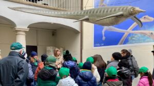 Museo Fossili Besano