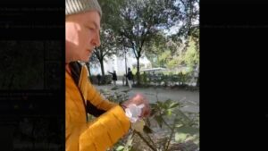 Paolo Sceusa posa papaveri bianchi per chiedere pace - 9 febbraio 2025