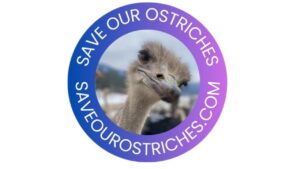 Salva gli struzzi