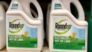 Roundup