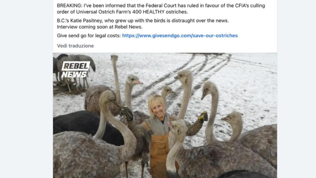 Universal Ostrich Farm