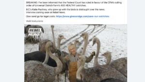 Universal Ostrich Farm