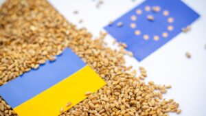 grano ucraino europa ucraina