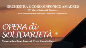 Opera di solidarietà 2025