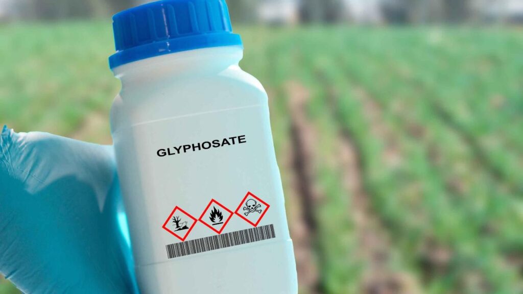 glifosato