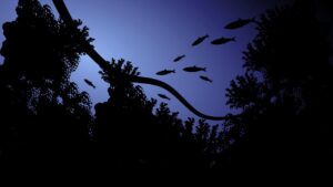 cavi sottomarini dati