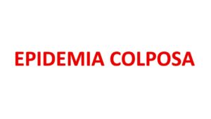 Epidemia colposa